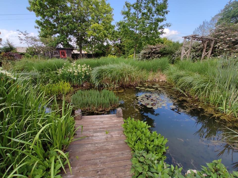 CigogneAu Jardin De La Marquetterie别墅 外观 照片